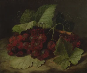Naturaleza muerta de uvas