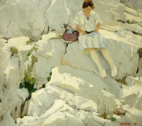 Mariposa en las rocas