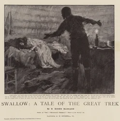 La golondrina, un cuento del Gran Trek