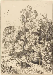 Paisaje con árboles, niña cruzando puente peatonal