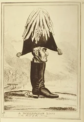 Una bota Wellington, o La cabeza del ejército, 1827
