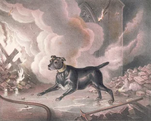 El perro del bombero de Londres
