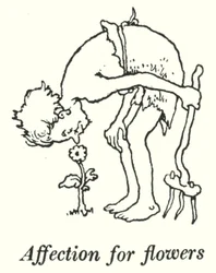 Afecto por las flores (litografía)