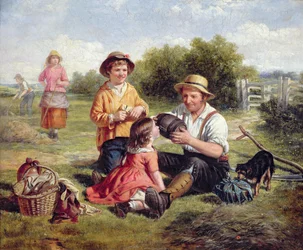 Hayfield