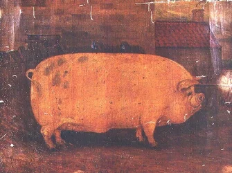 El cerdo premiado Jumbo II