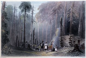 Primera instalación de colonos - en "Canadian scenery illustrated" por W.H. Bartlett, Londres