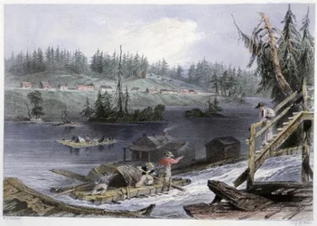 Transporte de madera a “los Gatos” - en “Paisajes canadienses ilustrados” de Bartlett W. H.