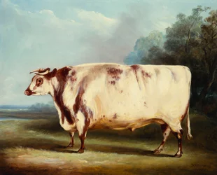 Un toro premiado, 1839