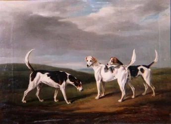 Perros de caza en un paisaje