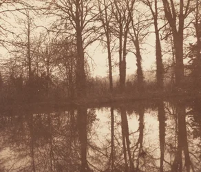 Árboles de invierno, reflejados en un estanque