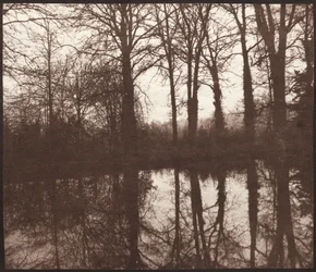 Árboles de invierno reflejados en un estanque