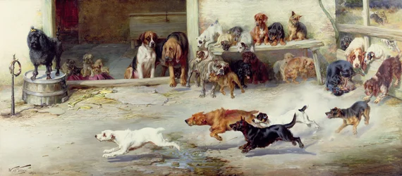 Persecución encarnizada, 1894