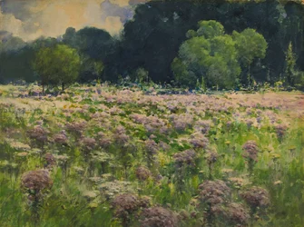 Campo de Joe Pie Weeds (Orgullo de la pradera)