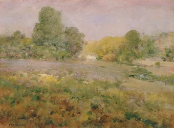 Campo de hierbas varicolores a finales de verano (en las colinas de Virginia)