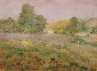 Campo de hierbas de colores en el final del verano en las colinas de Virginia