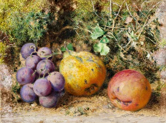 Uvas negras, membrillo y Newtown Pippin, 1861