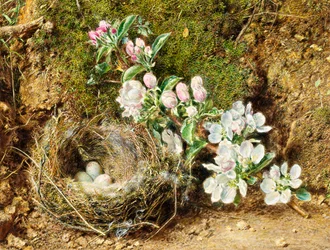 Rama de flor de manzano y nido de pájaro