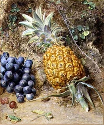 Uvas y una piña