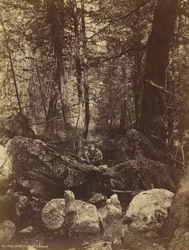 El sendero en el Cañón West Gallatin, c. 1870s