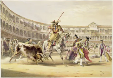 Toro embistiendo a un picador, 1865