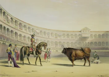 Picador desafiando al toro, 1865