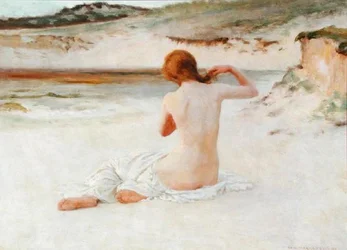 Desnudo en una Playa
