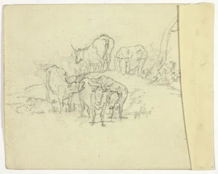 Ganado (recto); El charlatán (verso)