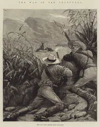 La guerra en el Transvaal