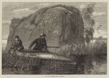 Caza de Patos Salvajes, Oeste de Irlanda