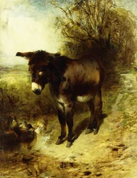 Una reflexión profunda, 1853