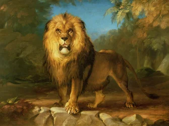 Un León, 1840