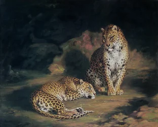 Una pareja de leopardos, 1845