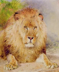León