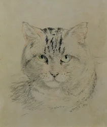 Gato atigrado, 1874