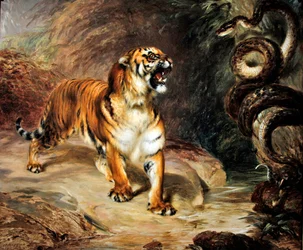 Tigre y pitón