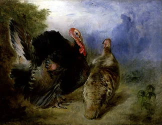 Pavos