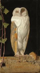 El búho blanco, 1856