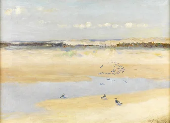 Avefrías junto al mar