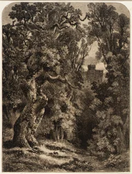 Paisaje