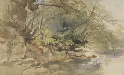 Vista en Stapleton Wood, cerca de Bristol