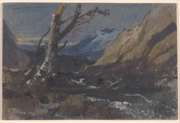 Estudio de árboles junto a un arroyo de montaña