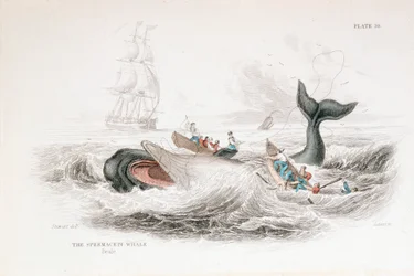 Arponeando un cachalote, 1837