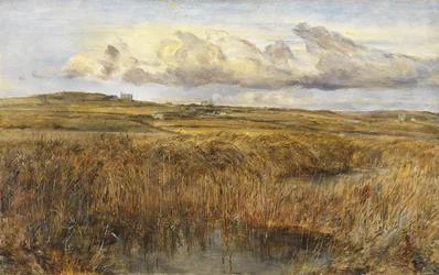Rhoscolyn, Anglesey