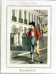 Conejos, Portland Place, de 