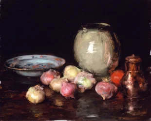 Solo cebollas