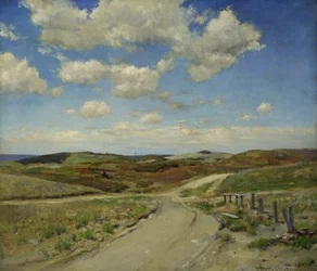 Colinas de Shinnecock