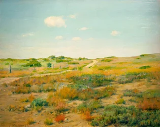 Colinas de Shinnecock