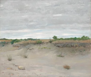 Arenas barridas por el viento, 1894