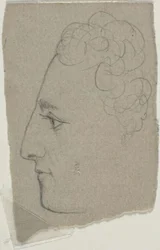Perfil