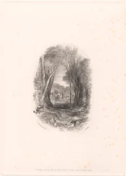Cabaña Chiefswood